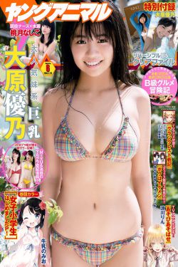 psp圣女贞德攻略