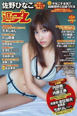 金瓶高清完整版